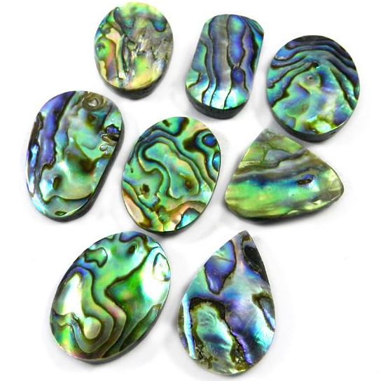 Natural Abalone  Cabochon Pendant Stone Healing Stone 51Ct 36X26#2749 Natural Abalone Shell Gemstone For Making Jewelry Loose Stone