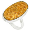 Fossil Coral Stone Ring
