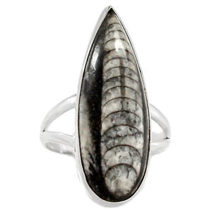 Orthoceras Fossil Stone Ring