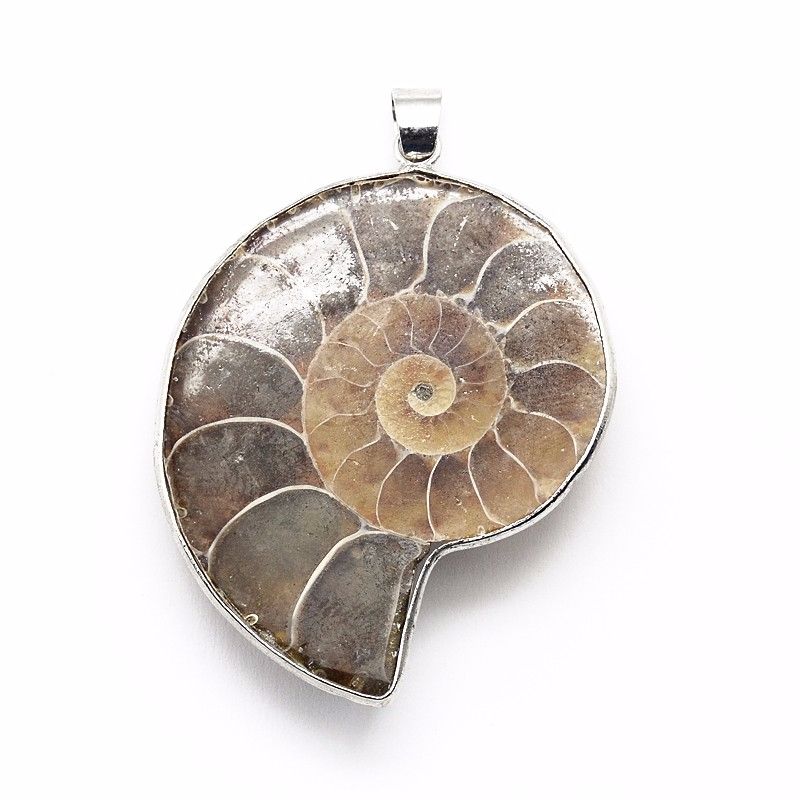 Ammonite Pendant Price