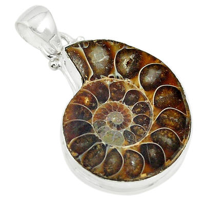 Natural Ammonite Pendant