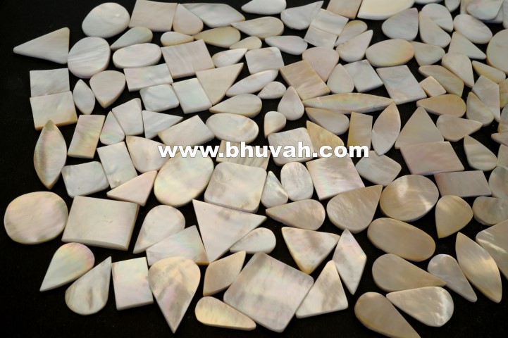 mother of pearl price per kg