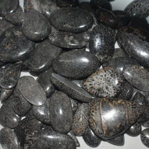 black fossil coral stone gemstone cabochon 500 carat price