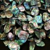 Abalone Shell Stone Gemstone Cabochon Price Per Kilo