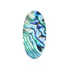 Natural Abalone Shell: The Gemstone with a Soul of Water Oval Shape 1 Piece