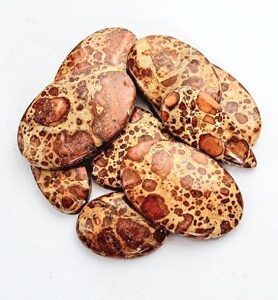 Poppy Jasper Gemstone 100 gram Cabochon 7-9 Pieces Lot Mix Size Shape Stone for Jewelry Manufacturer Reseller