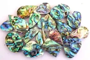 aa quality abalone shell per gram and per piece price