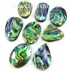 abalone shell cabochon per gram and abalone shell per piece