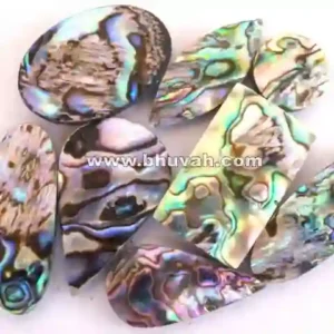commercial low quality quality abalone shell