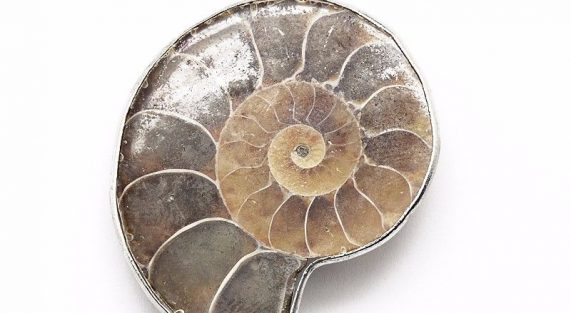Ammonite Pendant Price