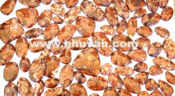 Bird Eye Jasper Price Per Kilo